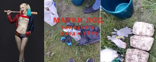 ГАЛЛЮЦИНОГЕННЫЕ ГРИБЫ Алзамай