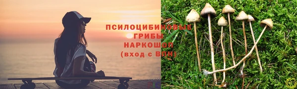 стафф Абаза