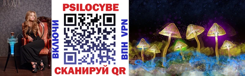 KRAKEN ссылка  купить наркотик  Щёлкино  Псилоцибиновые грибы Magic Shrooms 